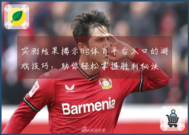 实测结果揭示ng体育平台入口的游戏技巧，助你轻松掌握胜利秘诀